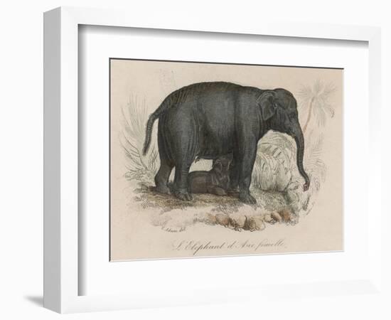 Female Indian Elephant Suckling Her Young-Victor Jean Adam-Framed Art Print