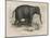 Female Indian Elephant Suckling Her Young-Victor Jean Adam-Mounted Art Print