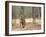 Female Indian Tiger (Bengal Tiger) (Panthera Tigris Tigris), Bandhavgarh National Park, India-Thorsten Milse-Framed Photographic Print