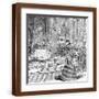 Brown Frame