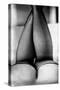 Female Legs in Tights-Rory Garforth-Stretched Canvas