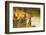 Female Lion and Cub Drinking at a Water Hole in the Maasai Mara, Kenya-Axel Brunst-Framed Photographic Print