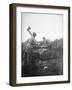 Female Lumberjacks!-null-Framed Photographic Print