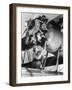 Female Mechanic Farley-null-Framed Photographic Print