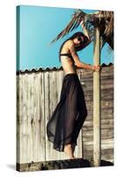 Female Model Wearing Bikini-Luis Beltran-Stretched Canvas