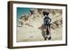 Female Model Wearing Black with Feathers-Luis Beltran-Framed Photographic Print