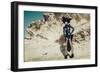 Female Model Wearing Black with Feathers-Luis Beltran-Framed Photographic Print