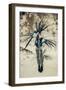 Female Model Wearing Feathers-Luis Beltran-Framed Photographic Print