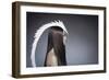 Female Model Wearing White Head Piece-Luis Beltran-Framed Photographic Print