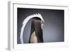 Female Model Wearing White Head Piece-Luis Beltran-Framed Photographic Print