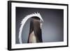 Female Model Wearing White Head Piece-Luis Beltran-Framed Photographic Print