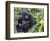 Female Mountain Gorilla with Her Baby, Volcanoes National Park, Rwanda, Africa-Eric Baccega-Framed Photographic Print