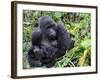 Female Mountain Gorilla with Her Baby, Volcanoes National Park, Rwanda, Africa-Eric Baccega-Framed Photographic Print