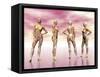 Female Muscular System from Four Points of View-null-Framed Stretched Canvas