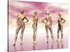 Female Muscular System from Four Points of View-null-Stretched Canvas