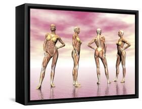 Female Muscular System from Four Points of View-null-Framed Stretched Canvas