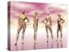 Female Muscular System from Four Points of View-null-Stretched Canvas