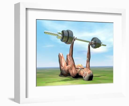 Female Musculature Exercising with a Dumbbell-null-Framed Art Print