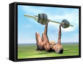 Female Musculature Exercising with a Dumbbell-null-Framed Stretched Canvas