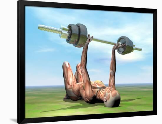 Female Musculature Exercising with a Dumbbell-null-Framed Art Print