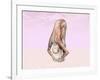 Female Musculature Performing Big Toes Yoga Pose-null-Framed Art Print