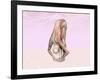 Female Musculature Performing Big Toes Yoga Pose-null-Framed Art Print