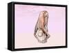 Female Musculature Performing Big Toes Yoga Pose-null-Framed Stretched Canvas