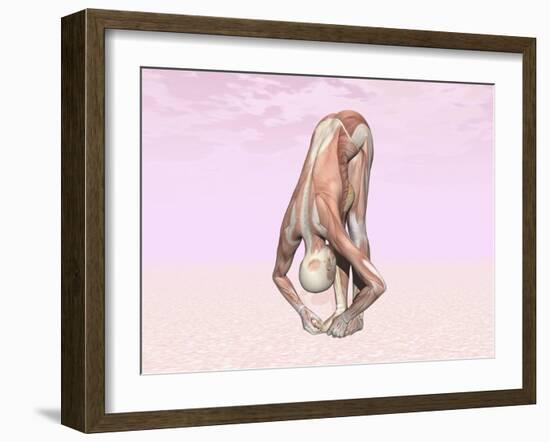 Female Musculature Performing Big Toes Yoga Pose-null-Framed Art Print