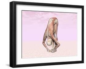 Female Musculature Performing Big Toes Yoga Pose-null-Framed Art Print