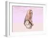 Female Musculature Performing Big Toes Yoga Pose-null-Framed Art Print