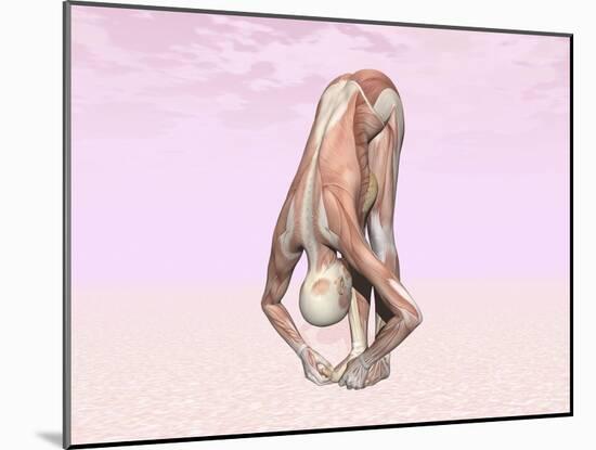 Female Musculature Performing Big Toes Yoga Pose-null-Mounted Art Print