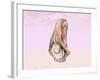 Female Musculature Performing Big Toes Yoga Pose-null-Framed Art Print