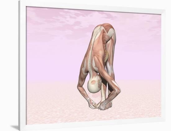 Female Musculature Performing Big Toes Yoga Pose-null-Framed Art Print