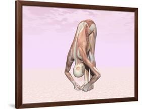 Female Musculature Performing Big Toes Yoga Pose-null-Framed Art Print