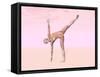 Female Musculature Performing Half Moon Yoga Pose-null-Framed Stretched Canvas