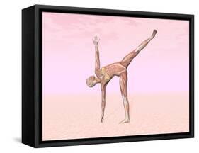 Female Musculature Performing Half Moon Yoga Pose-null-Framed Stretched Canvas