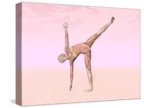 Female Musculature Performing Half Moon Yoga Pose-null-Stretched Canvas