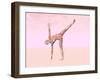 Female Musculature Performing Half Moon Yoga Pose-null-Framed Art Print