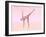 Female Musculature Performing Half Moon Yoga Pose-null-Framed Art Print