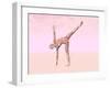 Female Musculature Performing Half Moon Yoga Pose-null-Framed Art Print