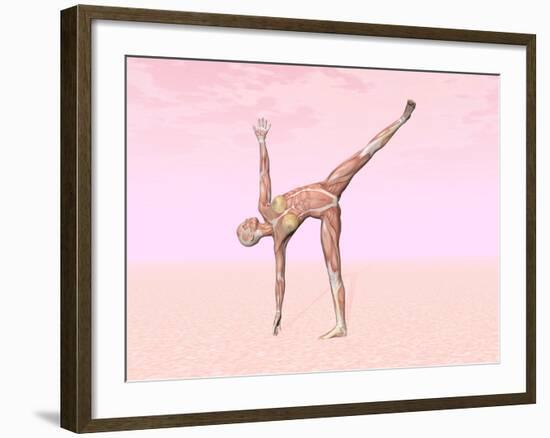 Female Musculature Performing Half Moon Yoga Pose-null-Framed Art Print