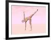 Female Musculature Performing Half Moon Yoga Pose-null-Framed Art Print