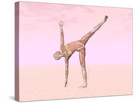 Female Musculature Performing Half Moon Yoga Pose-null-Stretched Canvas