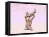 Female Musculature Performing Heron Yoga Pose-null-Framed Stretched Canvas