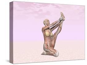 Female Musculature Performing Heron Yoga Pose-null-Stretched Canvas