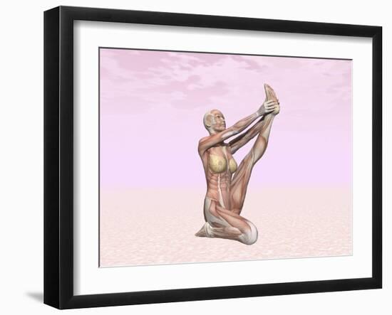Female Musculature Performing Heron Yoga Pose-null-Framed Art Print