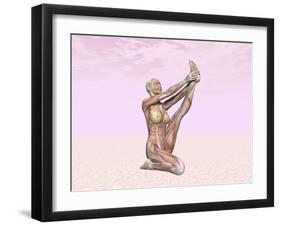 Female Musculature Performing Heron Yoga Pose-null-Framed Art Print