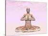 Female Musculature Performing Meditation Yoga Pose-null-Stretched Canvas