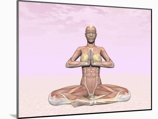 Female Musculature Performing Meditation Yoga Pose-null-Mounted Art Print