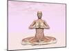 Female Musculature Performing Meditation Yoga Pose-null-Mounted Art Print